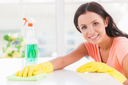 Regular cleaning of a bright and tidy living space