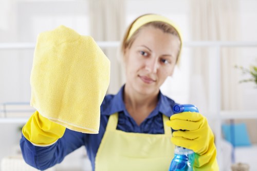 Professional sofa cleaning in a modern living room