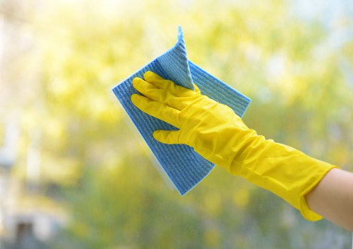 Professional window cleaning for a bright exterior