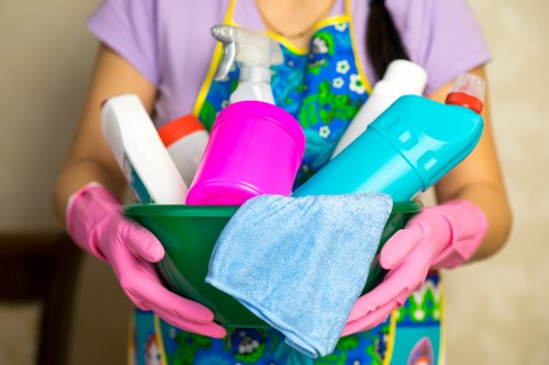 Kitchen deep cleaning with appliance and surface care