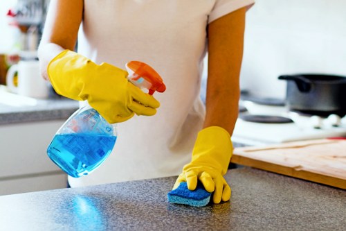 Professional carpet cleaning in a bright living room