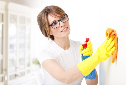 Window cleaning tools and techniques used by professionals
