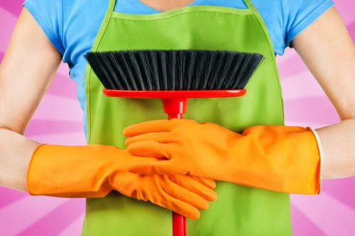 Clean carpet improving indoor air quality in a family home