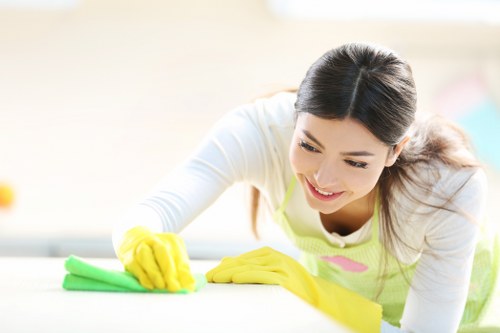 Final cleaning checklist for a move out inspection
