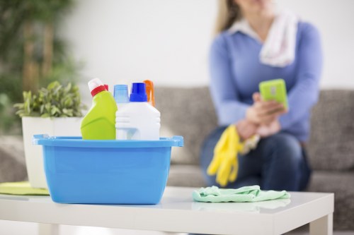 Deep carpet cleaning equipment removing dirt from fibers