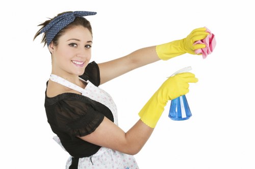 Eco-friendly sofa cleaning service in a bright home interior
