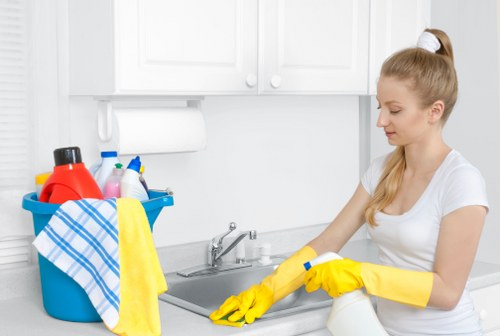 Organized home cleaning supplies on a countertop